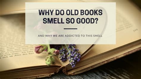 what do old books smell like? the olfactory journey of time and stories